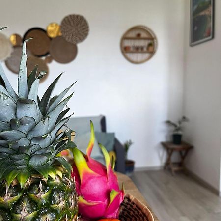 Cocon Des Alizes Apartment La Moise Ngoại thất bức ảnh