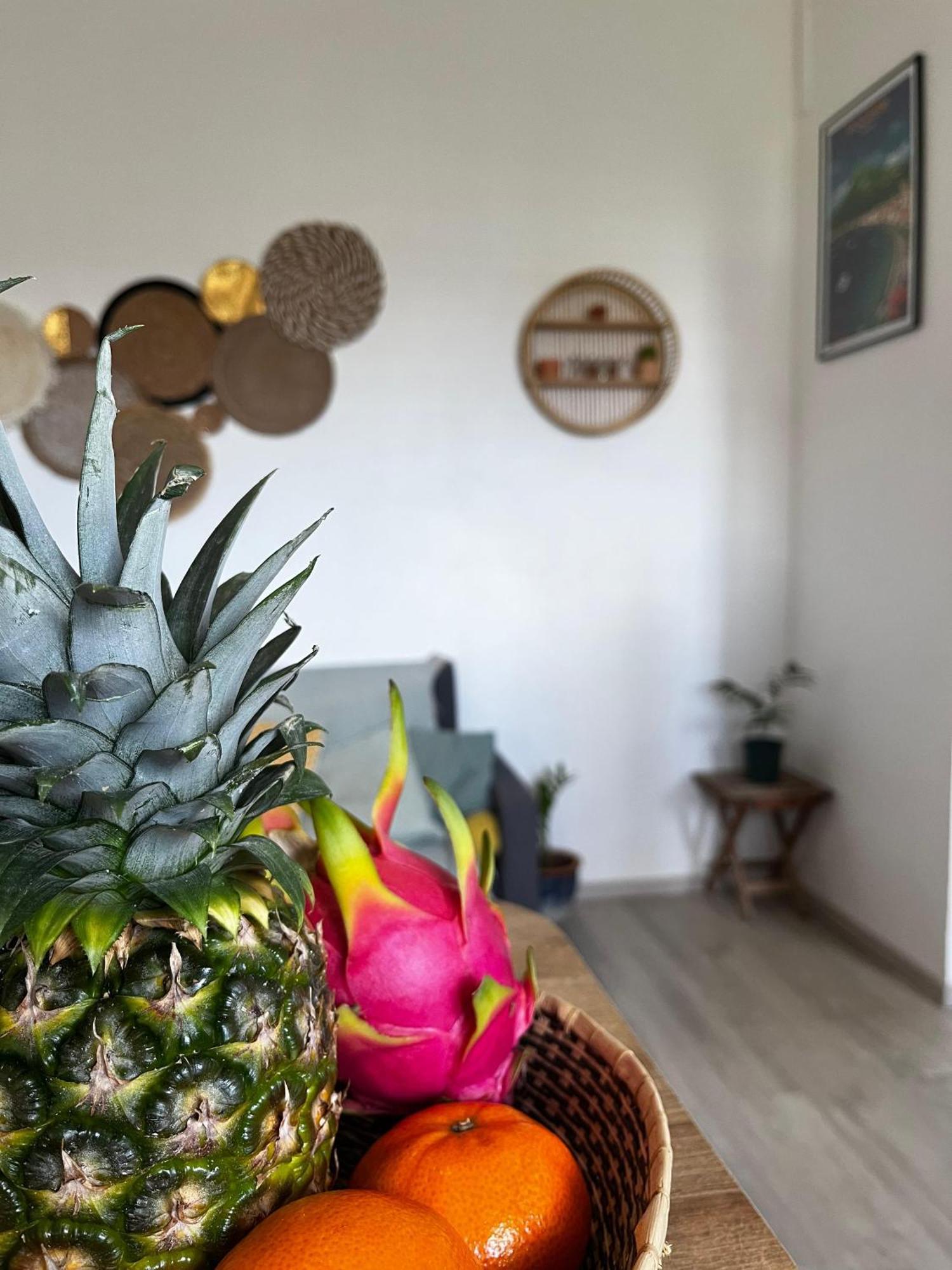 Cocon Des Alizes Apartment La Moise Ngoại thất bức ảnh